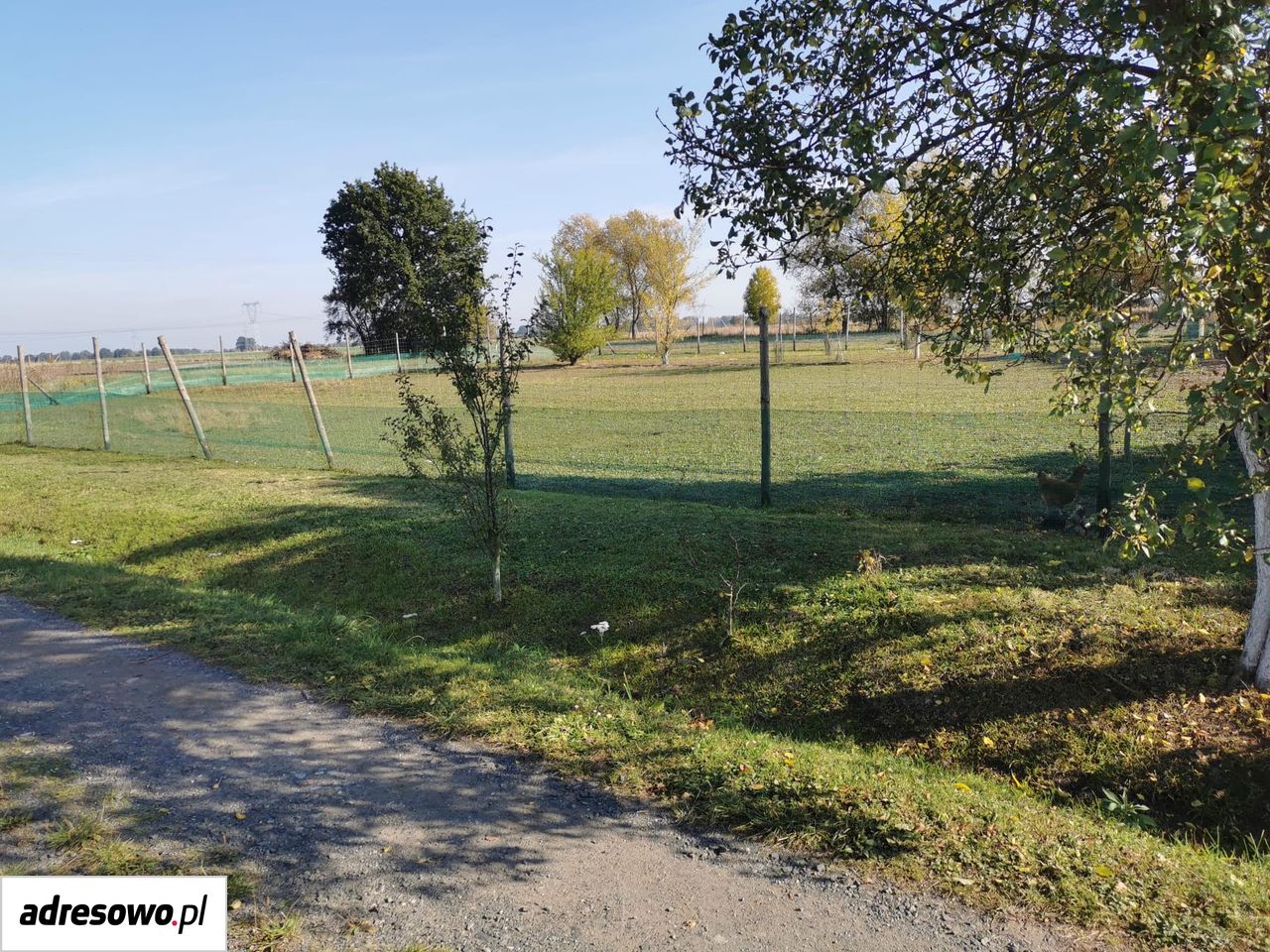 Działka Ręszów. Zdjęcie 8