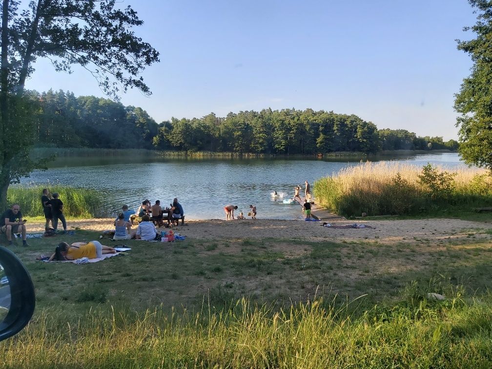 Działka rekreacyjna Bielin. Zdjęcie 6