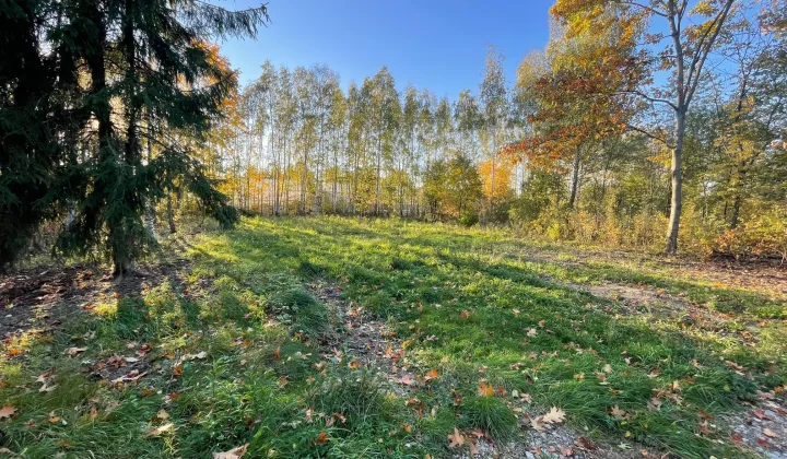 Działka budowlana Łódź Wiskitno, ul. Gościniec