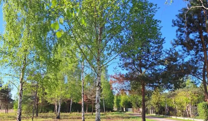 Działka Ślądkowice