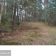 Działka leśna Bartniki, ul. Spokojna. Zdjęcie 7
