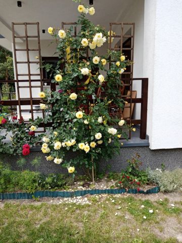 dom wolnostojący, 5 pokoi Wola Pobiedzińska. Zdjęcie 18