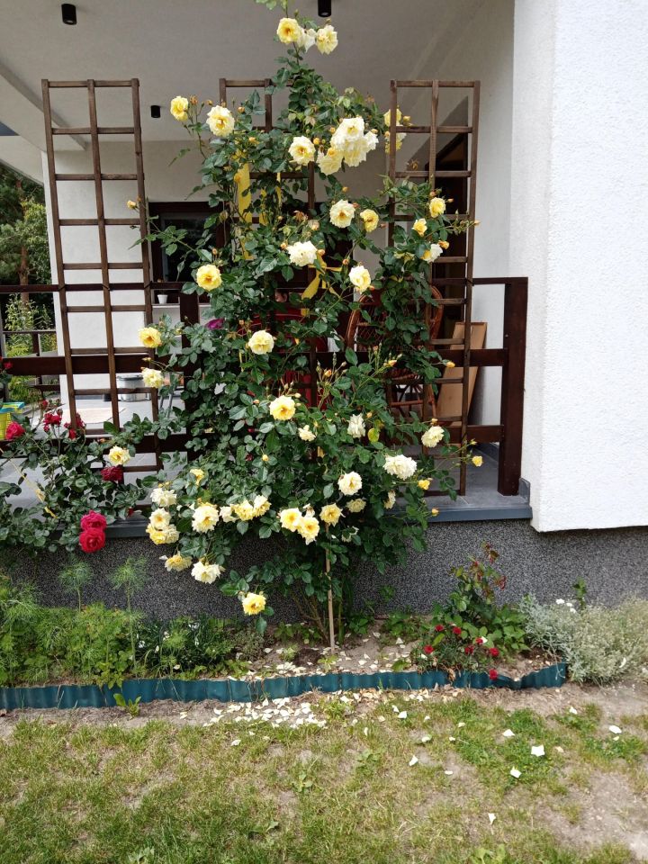 dom wolnostojący, 5 pokoi Wola Pobiedzińska. Zdjęcie 18