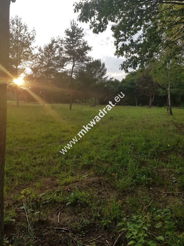 Działka budowlana Radziejowice-Parcel. Zdjęcie 8