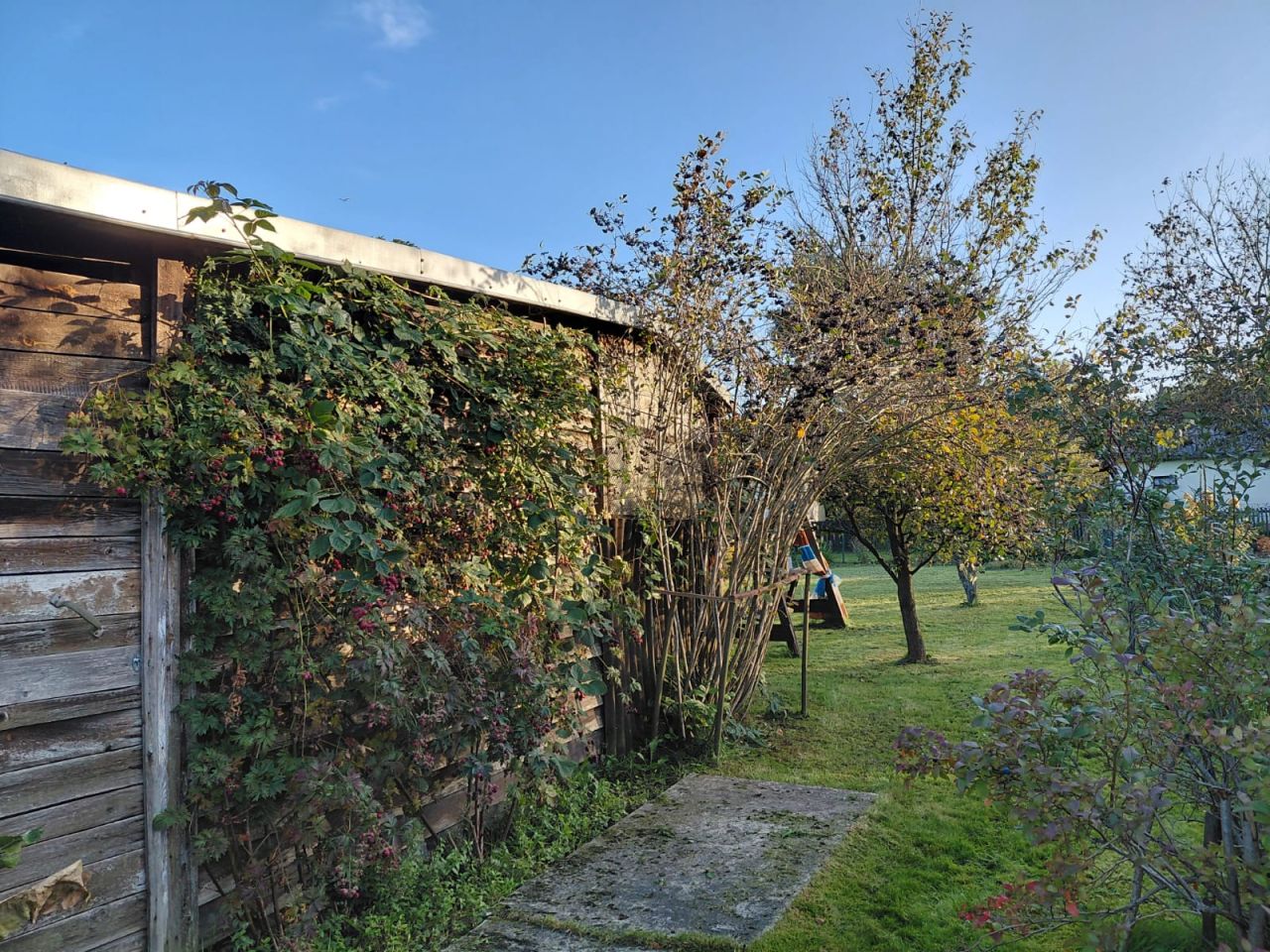 Działka rod Zawiercie Centrum, ul. Jałowcowa. Zdjęcie 9