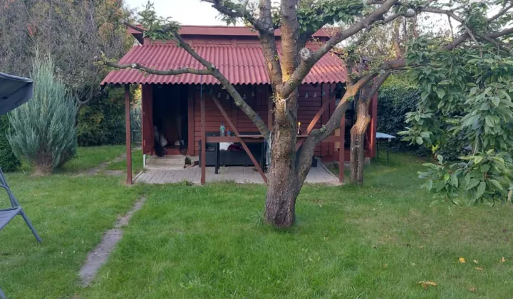 Działka rod Płock, ul. Targowa