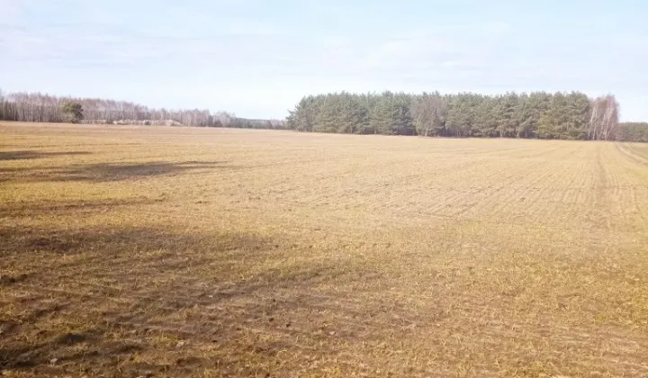 Działka rolna Lisowice-Kolonia