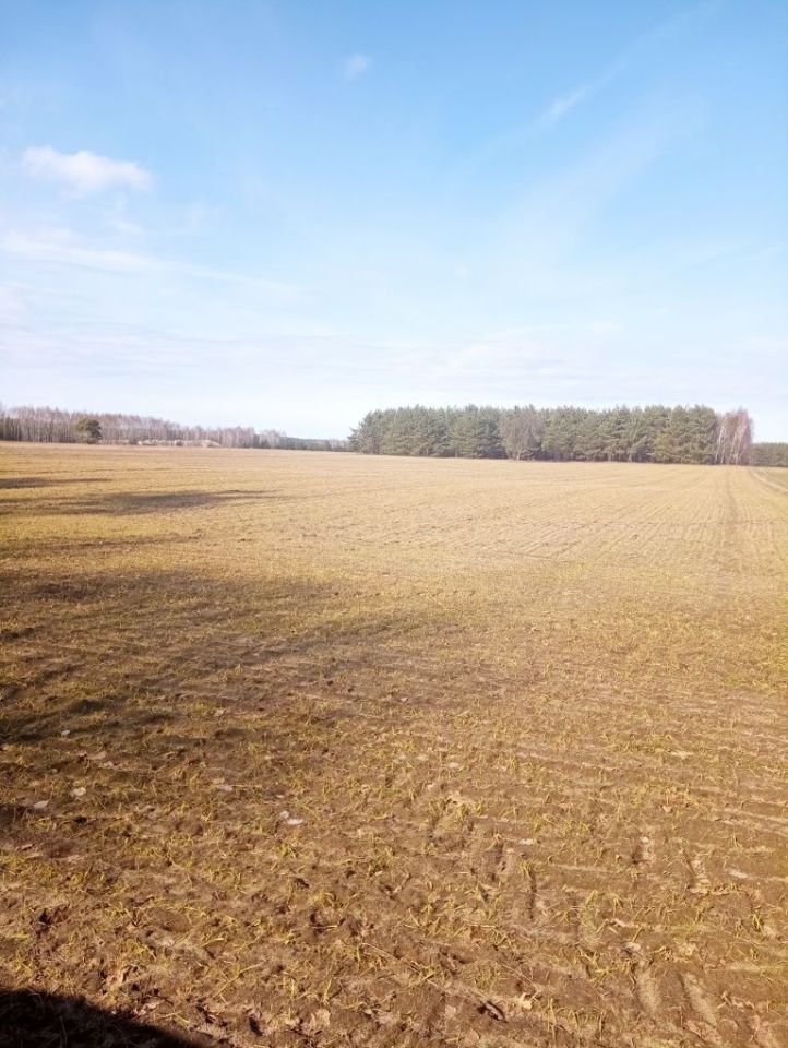 Działka rolna Lisowice-Kolonia. Zdjęcie 1