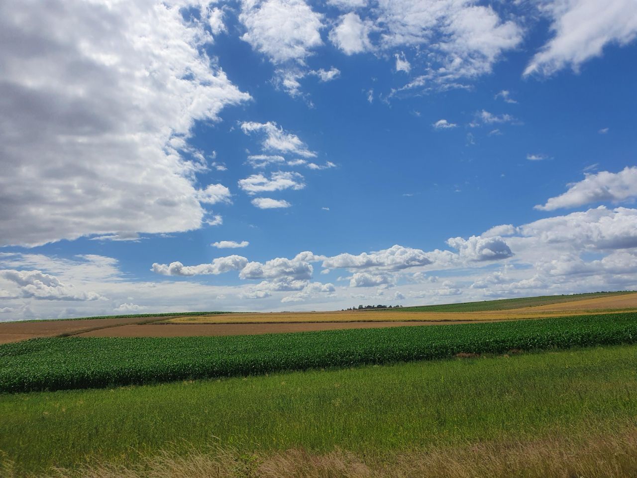 dom wolnostojący, 2 pokoje Wojsławice. Zdjęcie 12