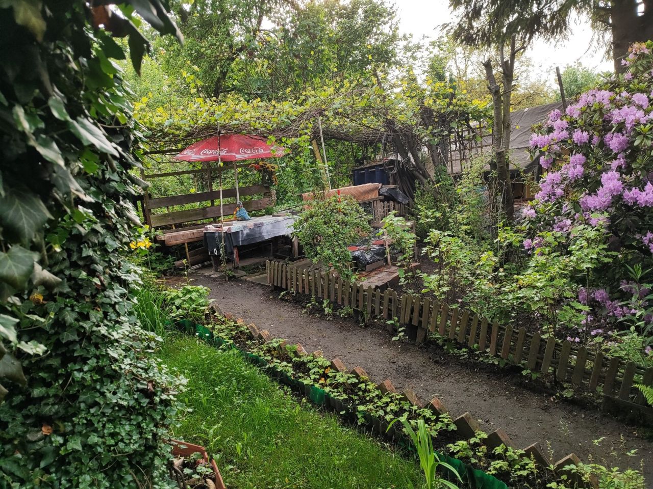 Działka rod Wałbrzych, ul. marsz. Józefa Piłsudskiego. Zdjęcie 3