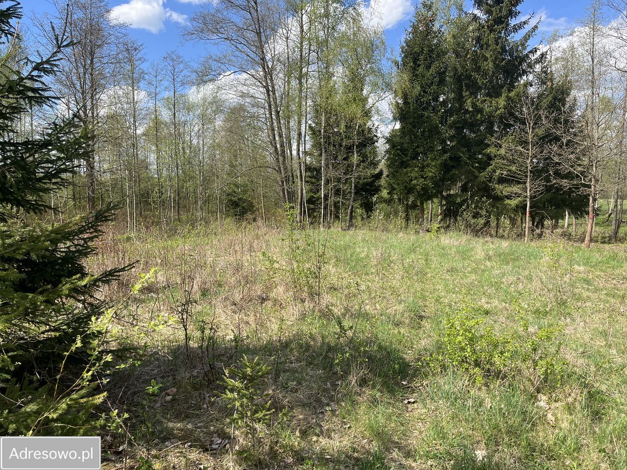 Działka Grzegrzółki. Zdjęcie 2