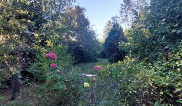 Działka rod Krajowice