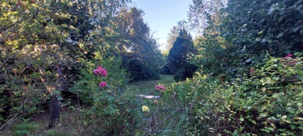 Działka rod Krajowice. Zdjęcie 1