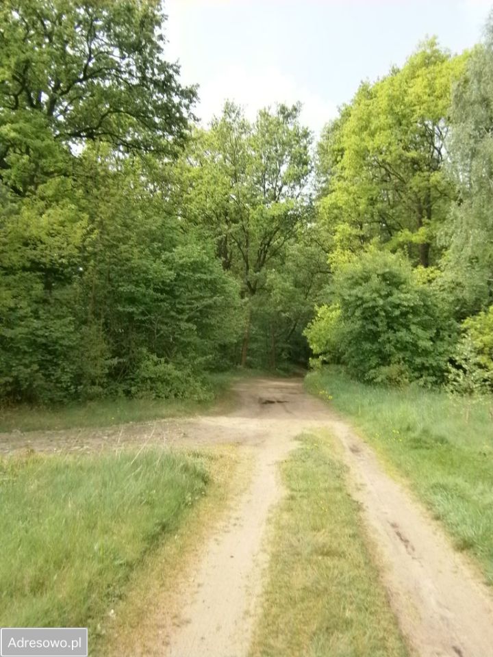 Działka budowlana Arciechów, ul. Ogólna. Zdjęcie 4