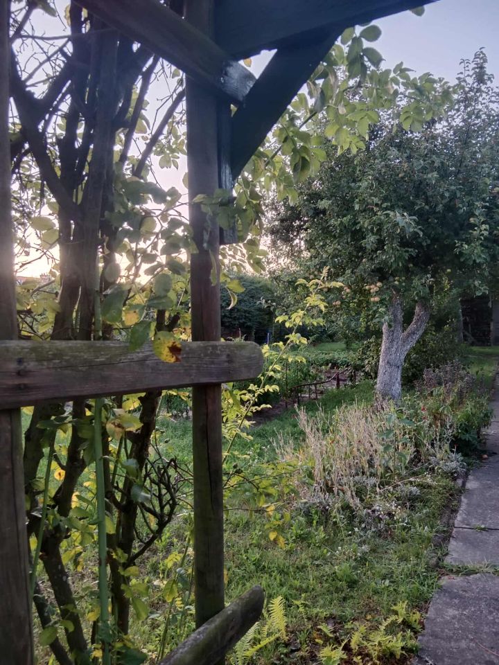 Działka rod Gdańsk Chełm, ul. Zamiejska. Zdjęcie 16