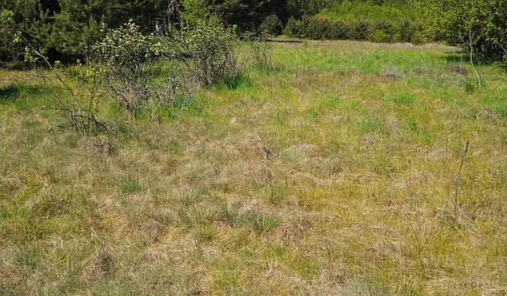 Działka budowlana Leśniów Wielki