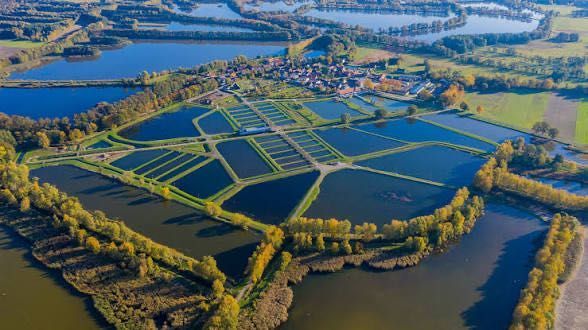 Działka budowlana Suliradzice. Zdjęcie 5