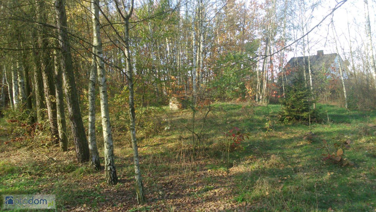 Działka budowlana Wola Załężna. Zdjęcie 15