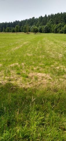 Działka budowlana Kostomłoty Drugie, ul. Gajowa. Zdjęcie 1