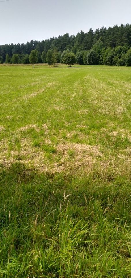 Działka budowlana Kostomłoty Drugie, ul. Gajowa