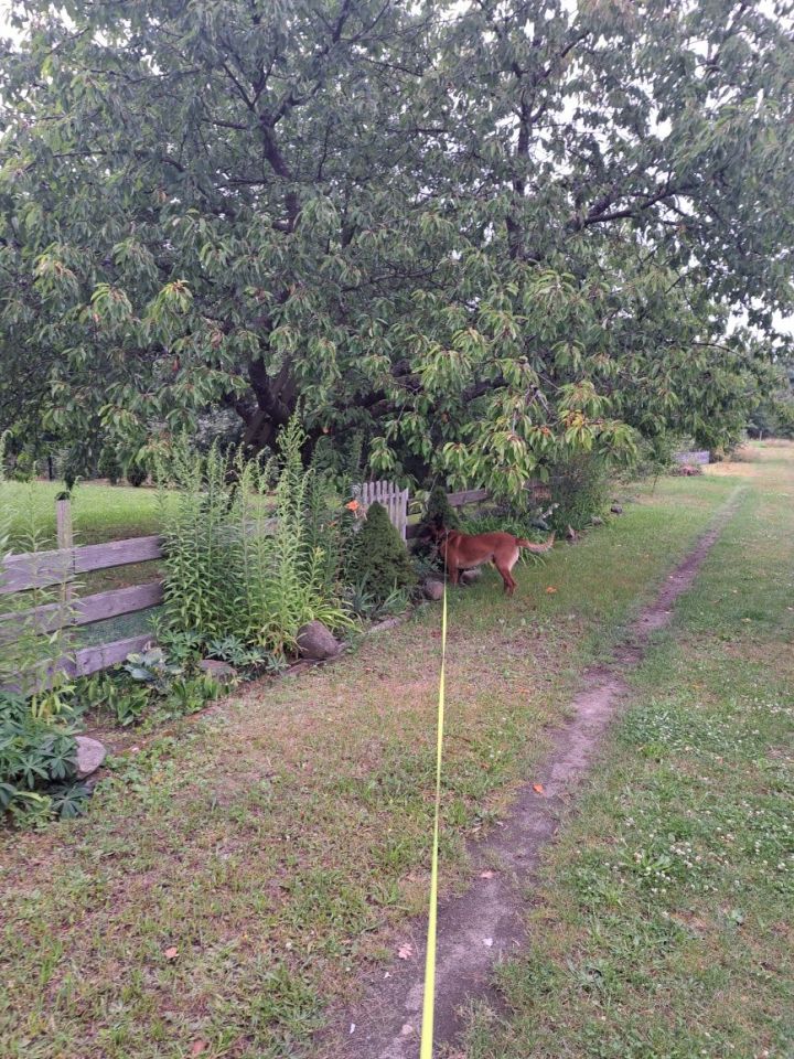 Działka rod Krosno Odrzańskie. Zdjęcie 4