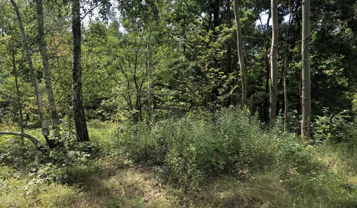 Działka budowlana Marki, ul. Leopolda Lisa-Kuli