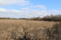 Działka rolna Kwik. Zdjęcie 4