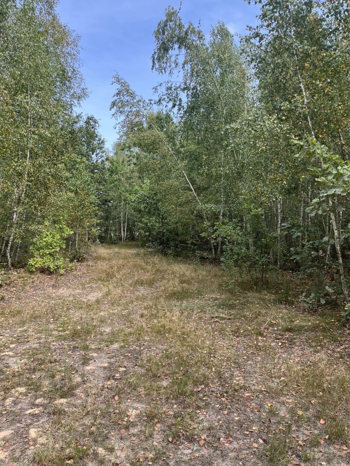 Działka leśna Markowo-Wólka. Zdjęcie 6