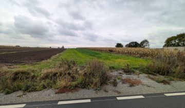 Działka rolna Małgów