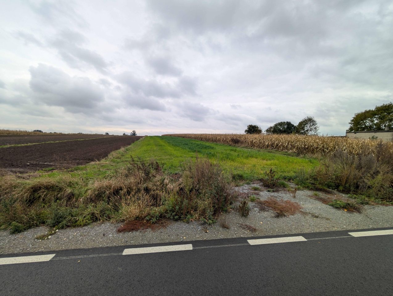 Działka rolna Małgów. Zdjęcie 2