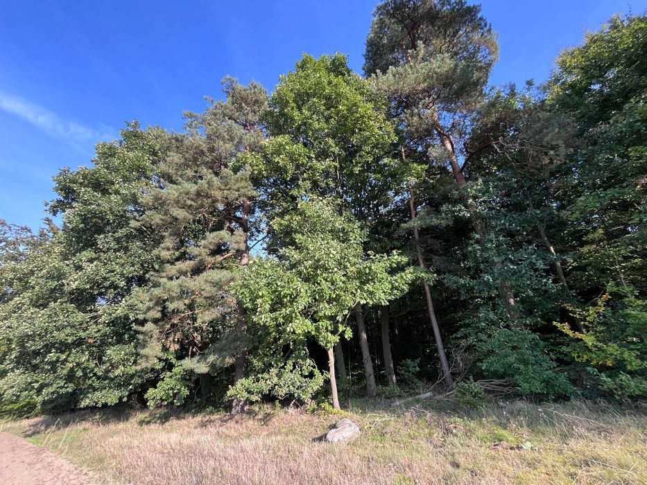 Działka budowlana Lubno, ul. Sportowa. Zdjęcie 6