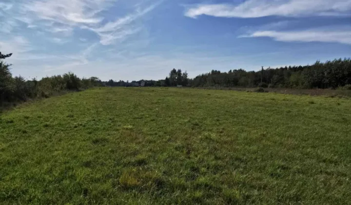Działka inwestycyjna Bieniewiec