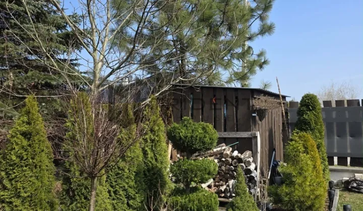 bliźniak, 5 pokoi Krupia Wólka