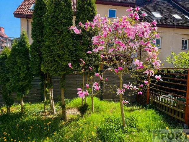 Mieszkanie 3-pokojowe Bezrzecze, ul. Anyżkowa. Zdjęcie 10