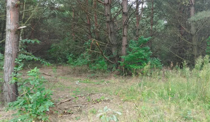 Działka budowlana Nagodów