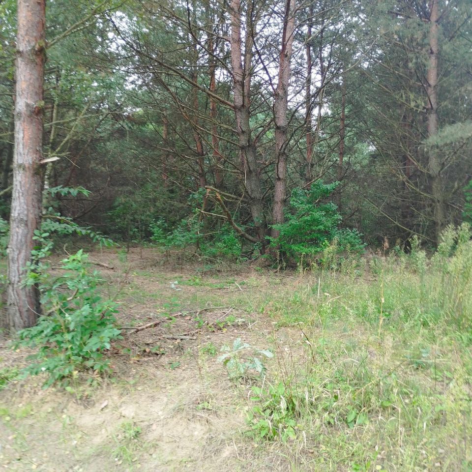 Działka budowlana Nagodów. Zdjęcie 1