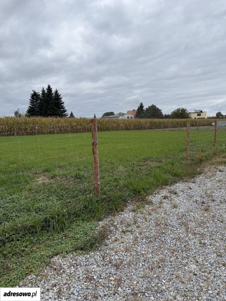 Działka rolna Krzyżanowice, ul. Kolejowa. Zdjęcie 2