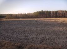 Działka budowlana Białkowo. Zdjęcie 3