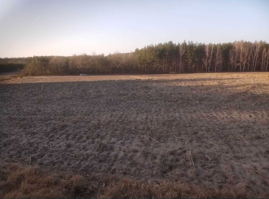 Działka budowlana Białkowo. Zdjęcie 4