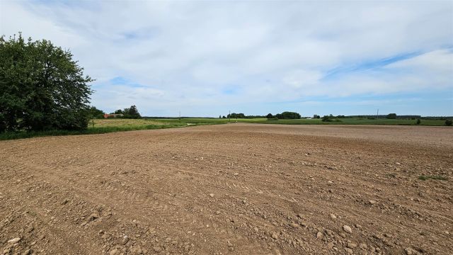 Działka rolna Dziubiele. Zdjęcie 17