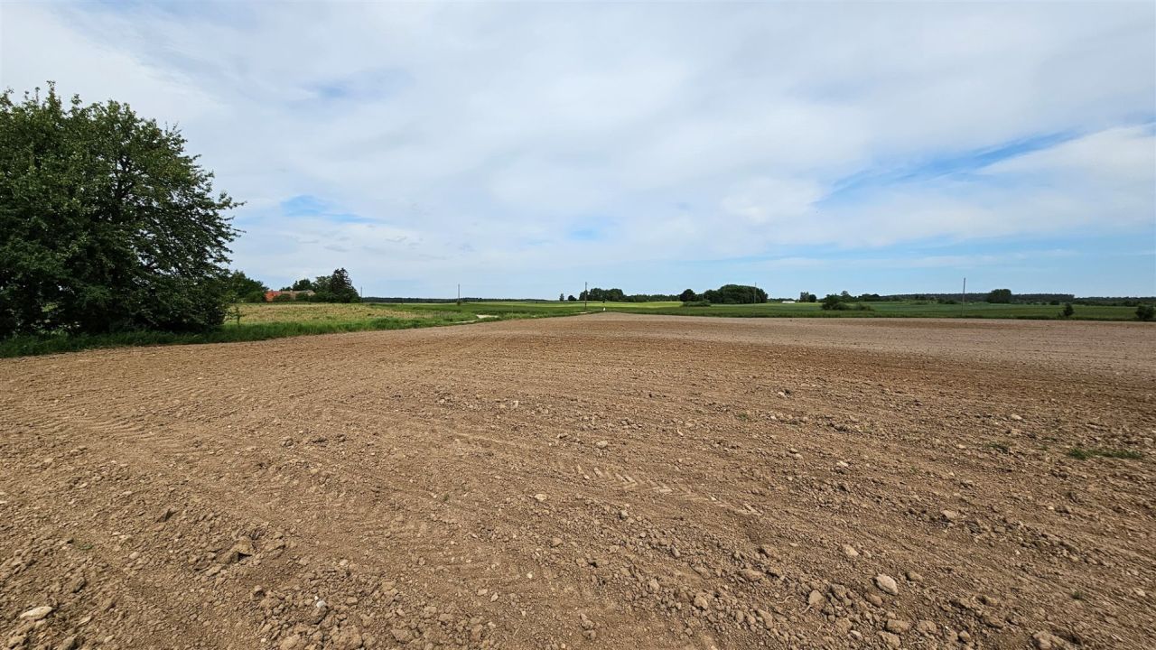 Działka rolna Dziubiele. Zdjęcie 17