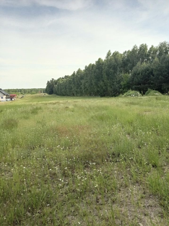 Działka budowlana Żdżary. Zdjęcie 1