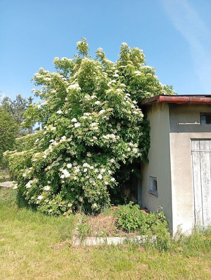 dom wolnostojący, 3 pokoje Ciągowice, ul. Zwycięstwa. Zdjęcie 29