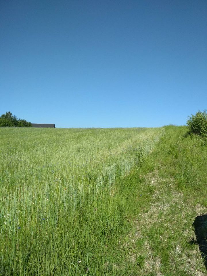 Działka budowlana Żory Rój, ul. Świerklańska. Zdjęcie 3