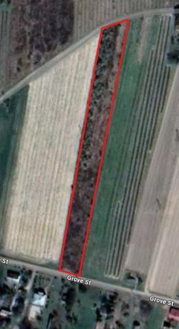 Działka rolno-budowlana Łopatki. Zdjęcie 1