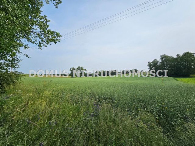 Działka rolna Gałkówek-Parcela. Zdjęcie 4