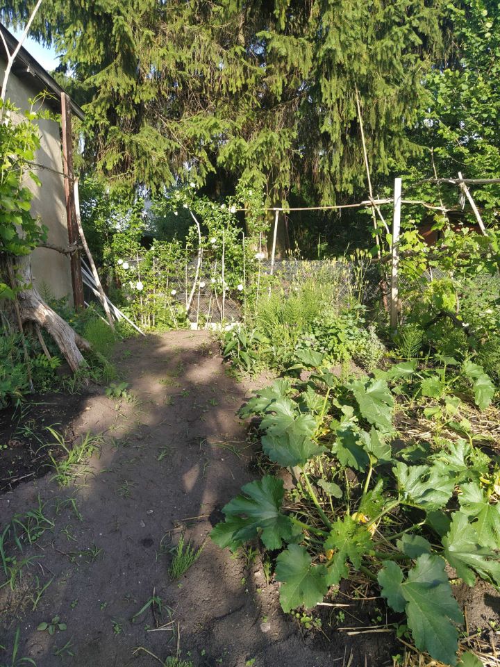 Działka rod Chełm. Zdjęcie 6