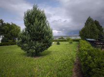 Działka budowlana Mysłowice Kosztowy, ul. Józefa Rymera. Zdjęcie 2