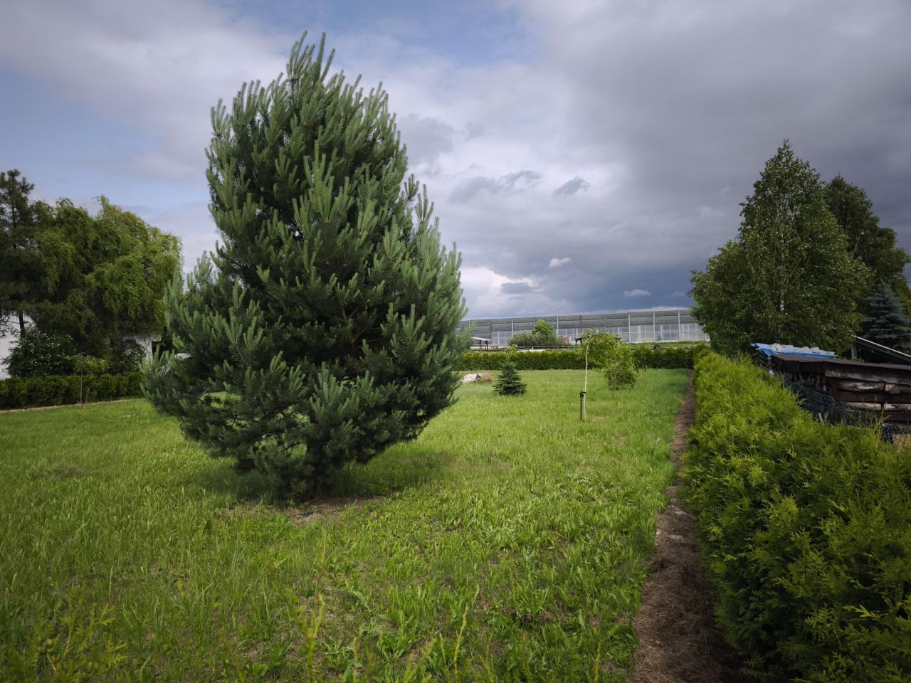 Działka budowlana Mysłowice Kosztowy, ul. Józefa Rymera. Zdjęcie 3