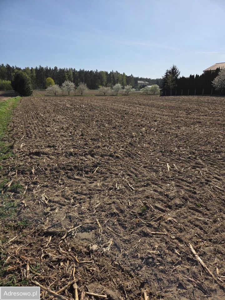 Działka budowlana Toporzysko. Zdjęcie 5